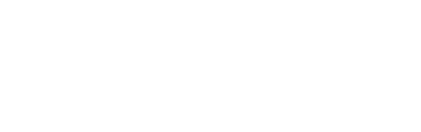 Logo-Nomade-pepite-blanc